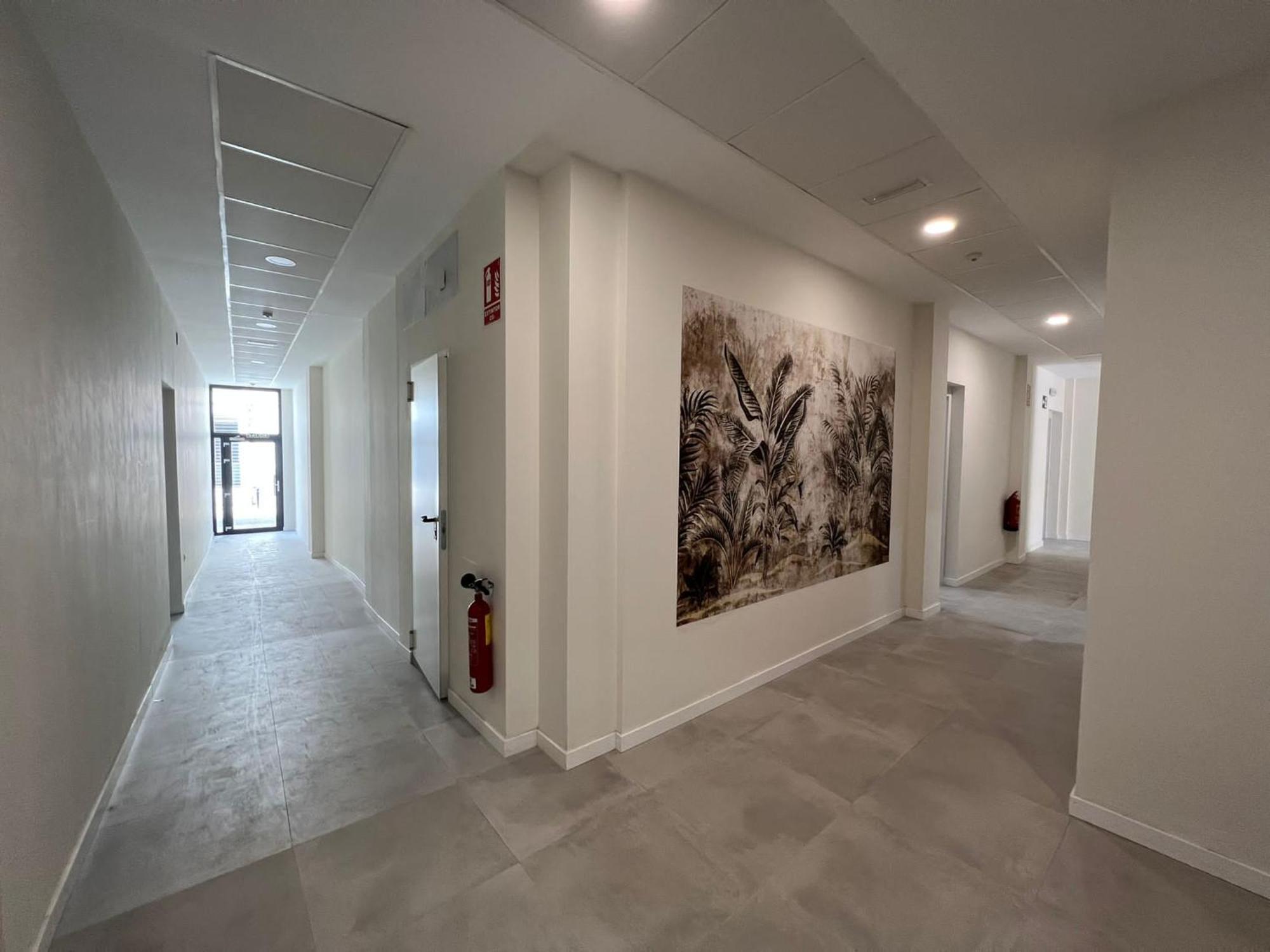Estudio Trinidad Centro Malaga 2 מראה חיצוני תמונה